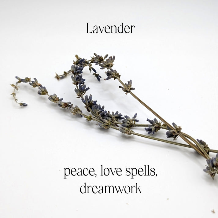 Coven Blend Ritual Salt